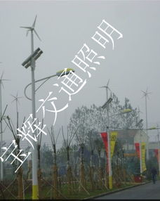 廠(chǎng)家供應(yīng)海南省三亞市8米42w風(fēng)光互補(bǔ)太陽(yáng)能路燈產(chǎn)品圖片高清大圖